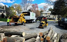 Best Palm Tree Trimming  in Coos Bay, OR