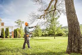 Best Stump Grinding and Removal  in Coos Bay, OR