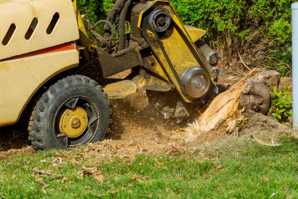 Best Weed Control  in Coos Bay, OR