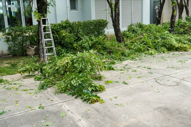 Best Lawn Irrigation Installation and Maintenance  in Coos Bay, OR